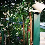 Ivona Апартаменты