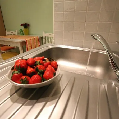 Apartment Ivona