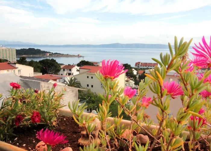 Ivona Daire Makarska