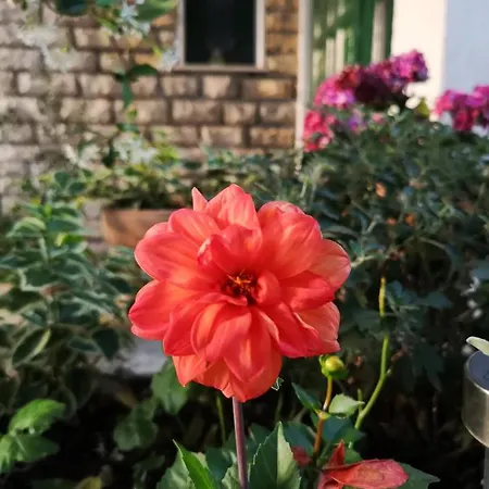 Appartement Ivona Makarska